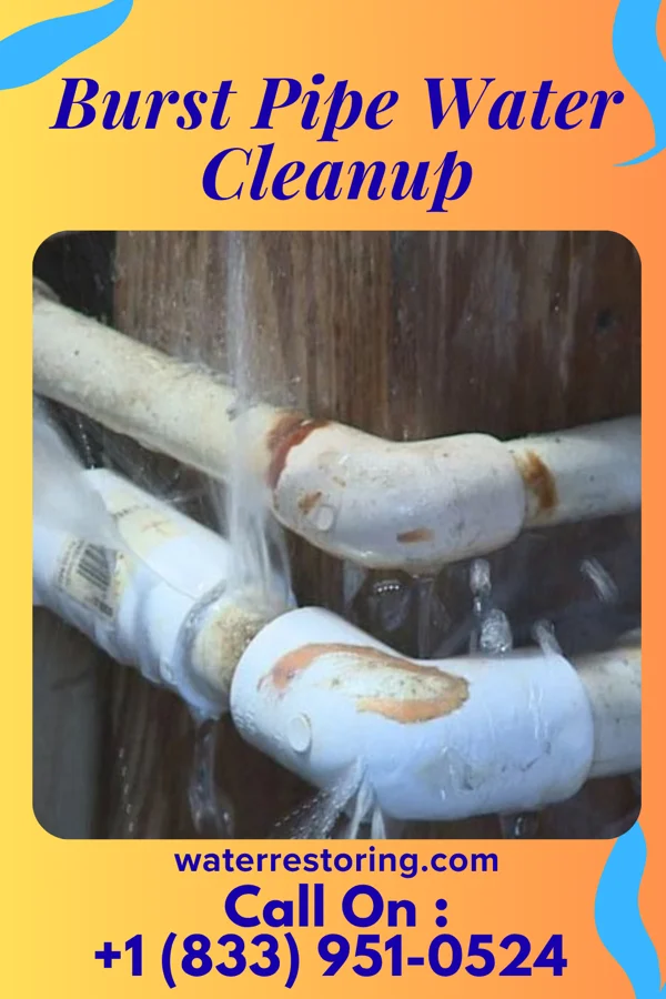 Burst Pipe Water Cleanup in Cold Springs, NV