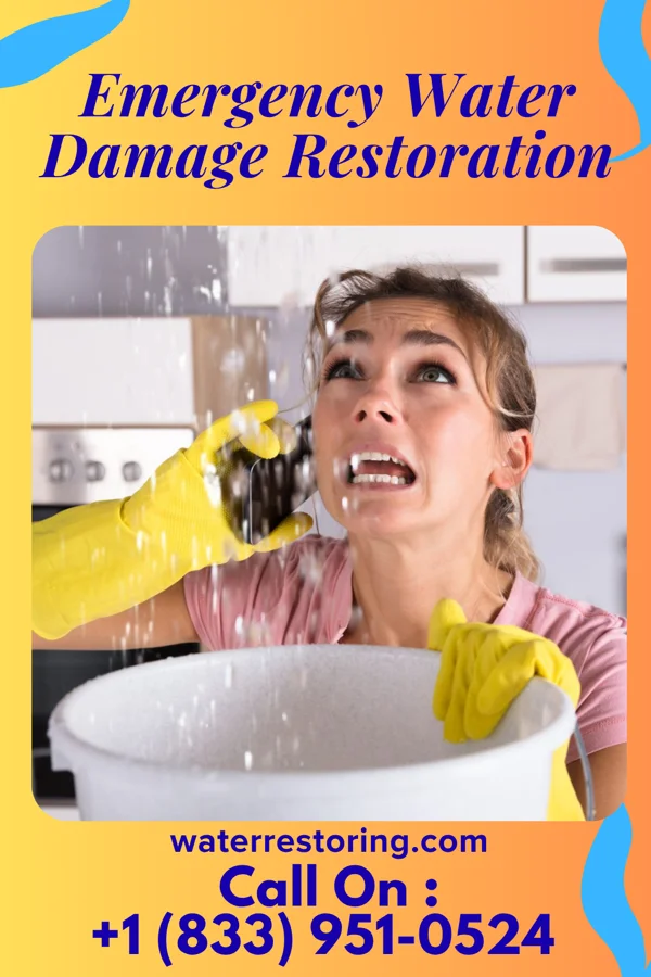 Emergency Water Damage Restoration in Cold Springs, NV