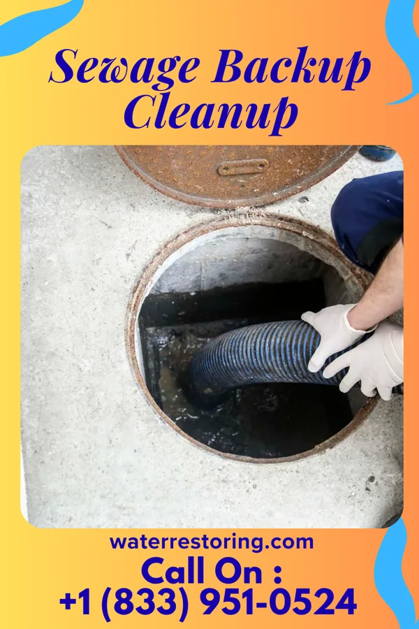 Sewage Backup Cleanup in Cold Springs, NV
